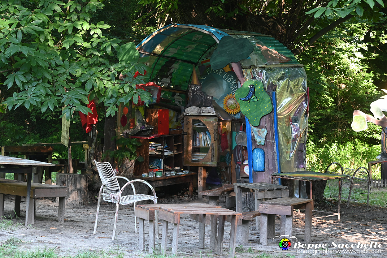 VBS_4894 - Il bosco fatato - Montaldo Roero.jpg